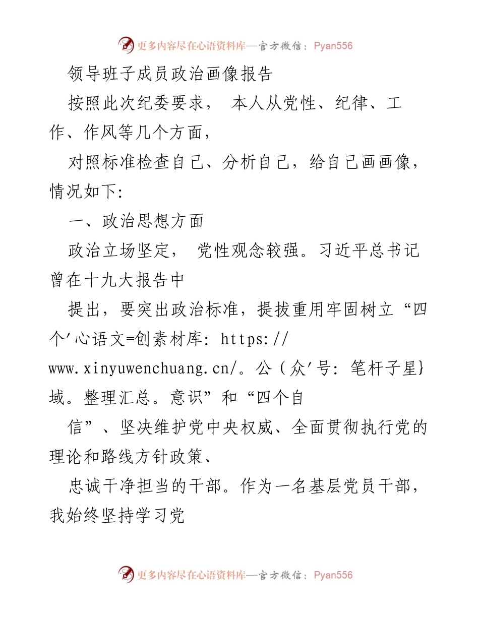 [发言] 纪委会议 - 领导班子成员政治画像自我分析报告_1.docx_第1页