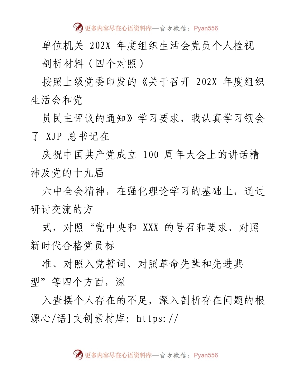 [发言] 组织生活会 - 202X年度党员个人检视剖析报告.docx_第1页