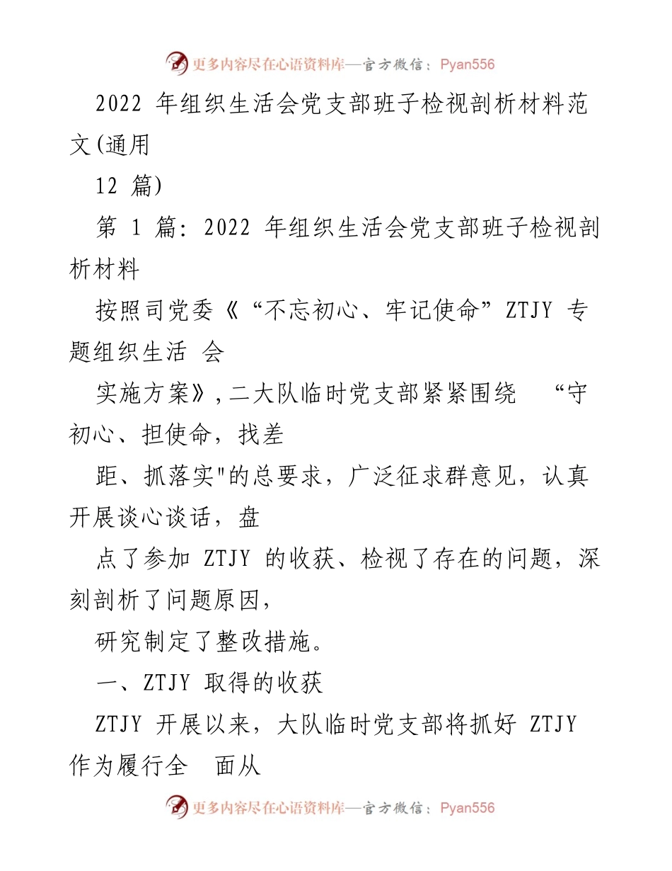 [发言] 组织生活会 - 2022年党支部班子检视与整改发言材料.docx_第1页