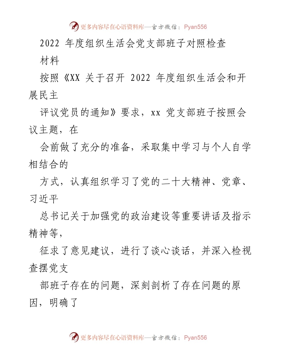 [发言] 组织生活会 - 2022年度党支部班子对照检查报告.docx_第1页