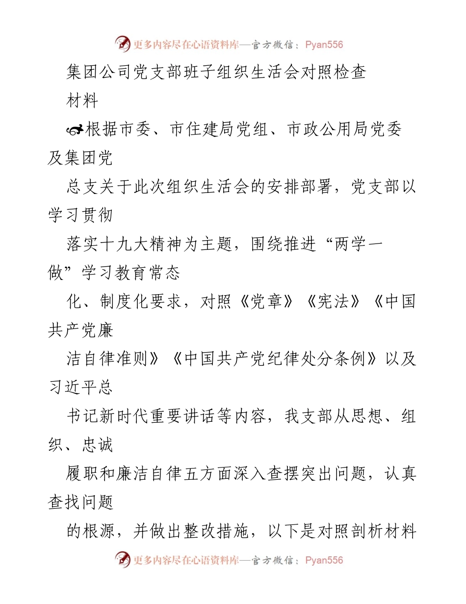 [发言] 组织生活会 - 集团公司党支部班子组织生活会对照检查与整改措施.docx_第1页