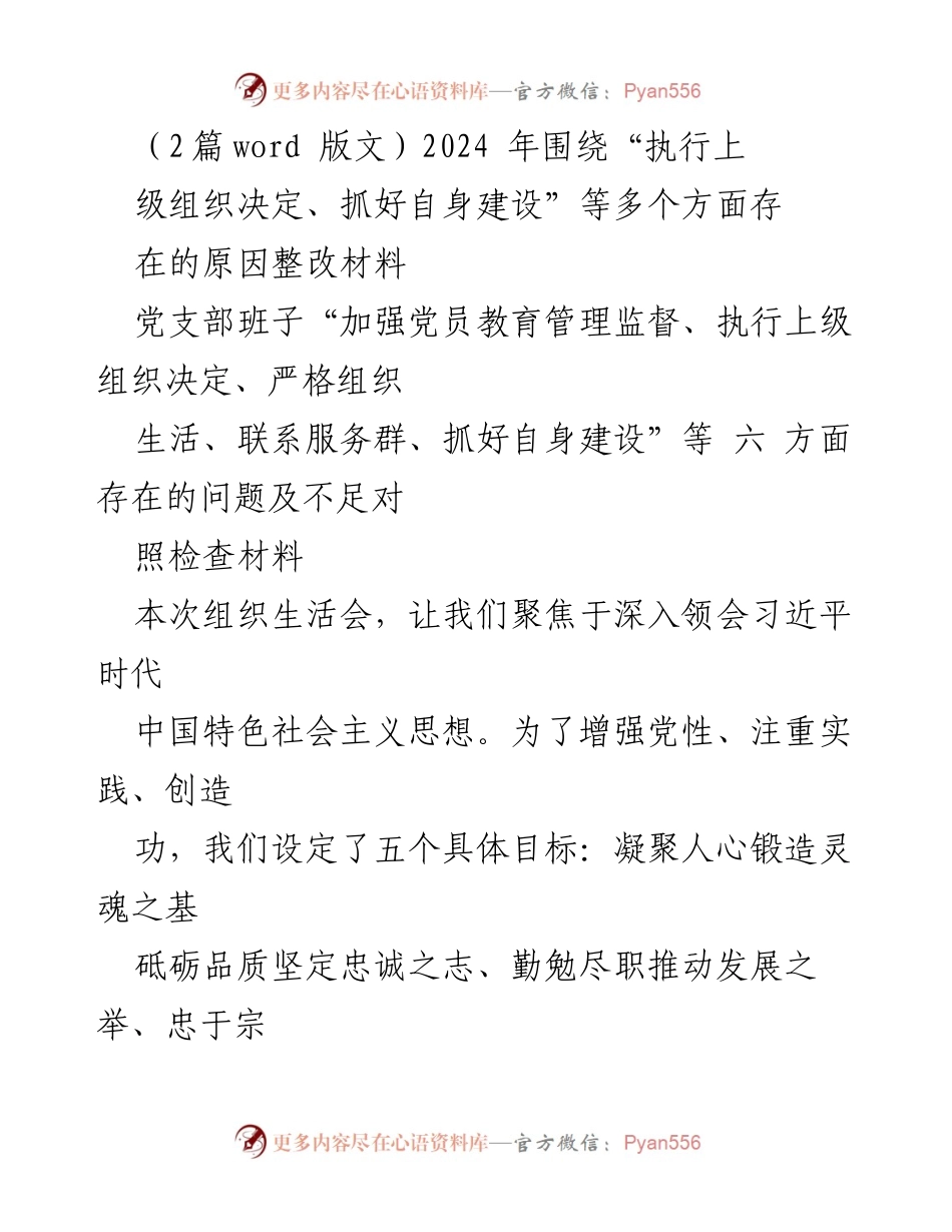 [发言] 组织生活会 - 党支部整改与自查发言材料.docx_第1页
