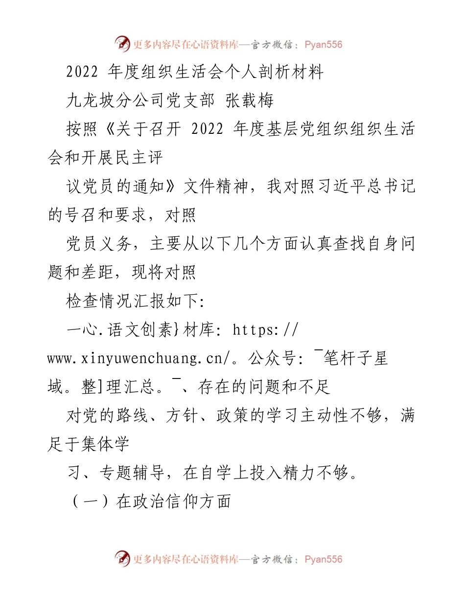 [发言] 组织生活会 - 2022年度党支部个人剖析与整改措施报告.docx_第1页