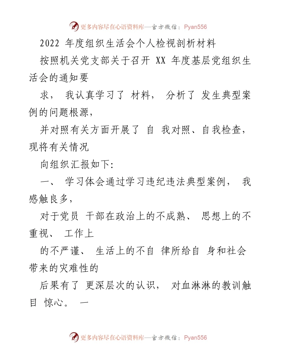 [发言] 组织生活会 - 2022年度个人检视剖析材料总结.docx_第1页