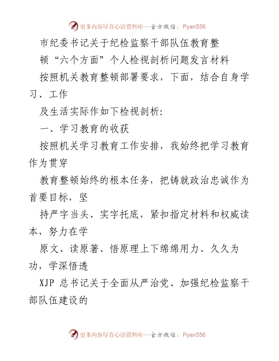 [发言] 纪委教育整顿 - 市纪委书记个人检视剖析发言材料.docx_第1页