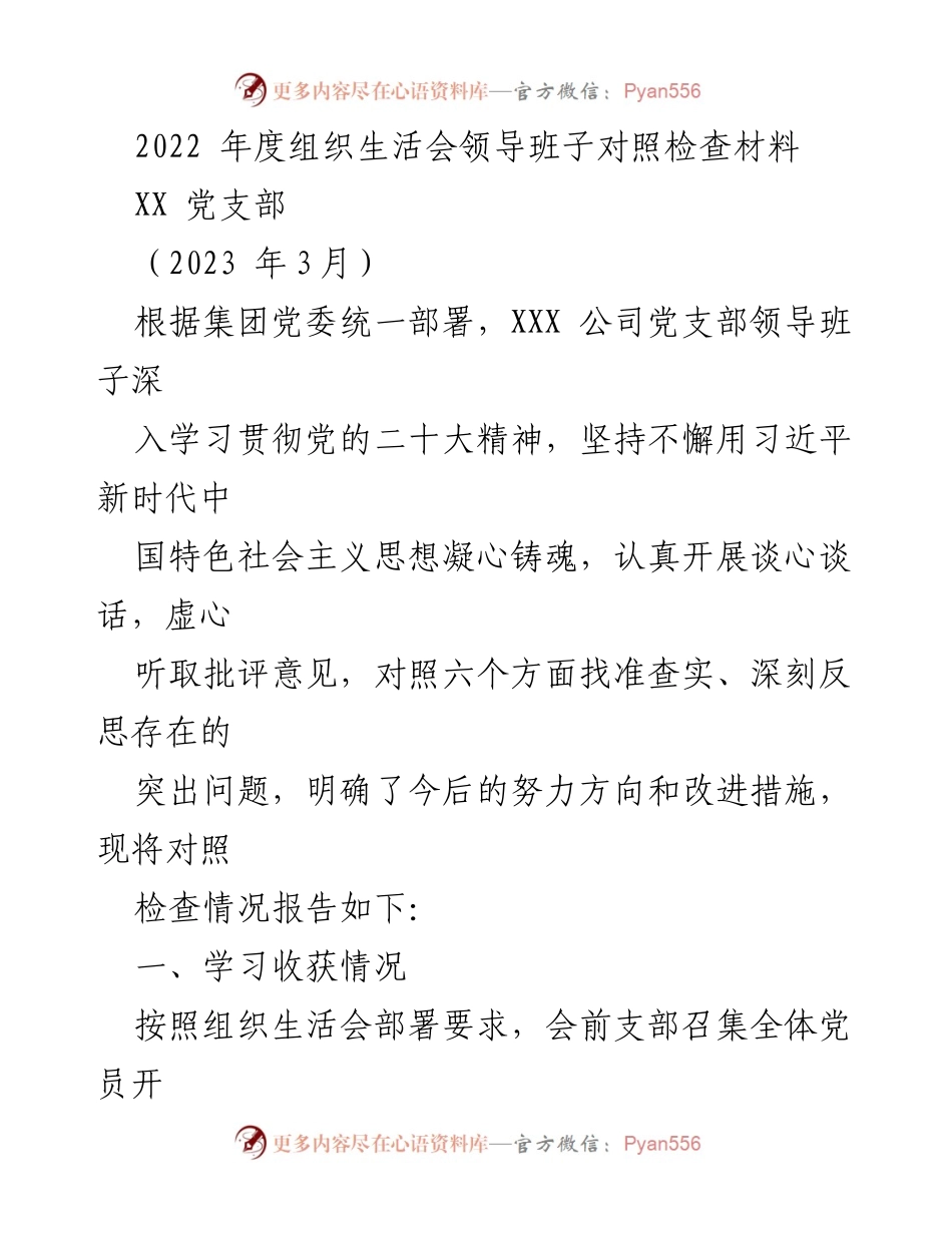 [发言] 组织生活会 - 2022年度党支部领导班子对照检查报告_1.docx_第1页