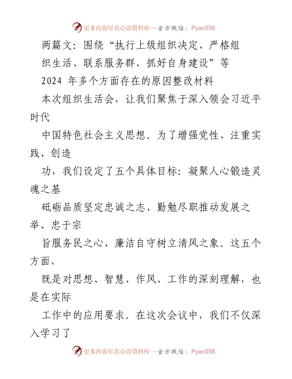 [发言] 组织生活会 - 深入整改执行与组织生活的思考与展望.docx_第1页