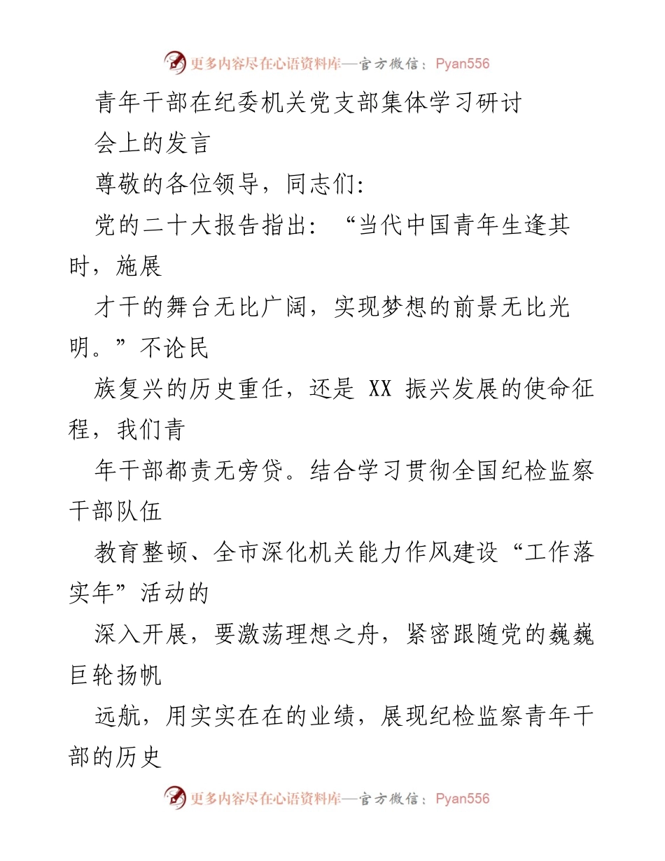 [发言] 纪委机关党支部集体学习研讨会 - 青年干部的责任与担当_2.docx_第1页