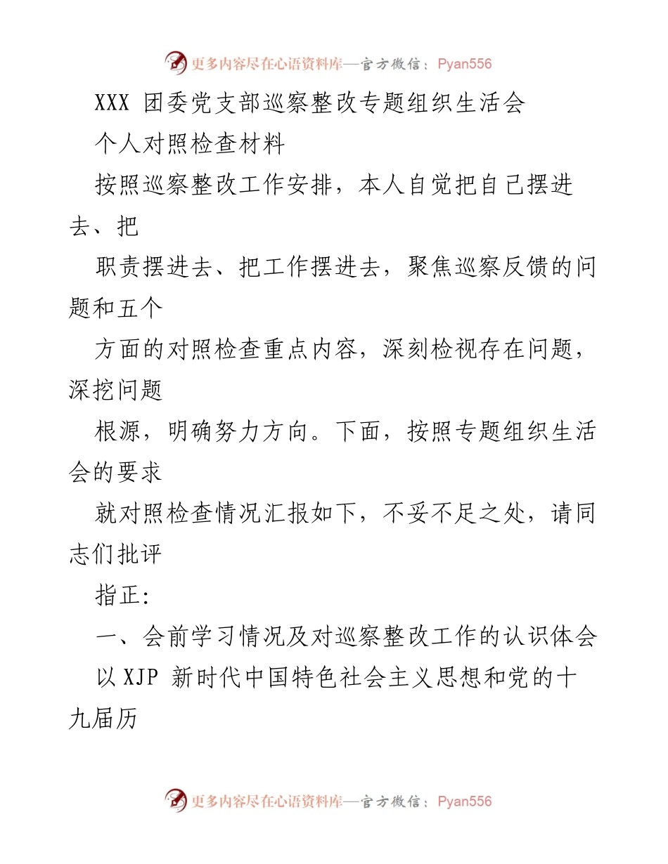 [发言] 组织生活会 - 巡察整改专题组织生活会个人对照检查材料.docx_第1页