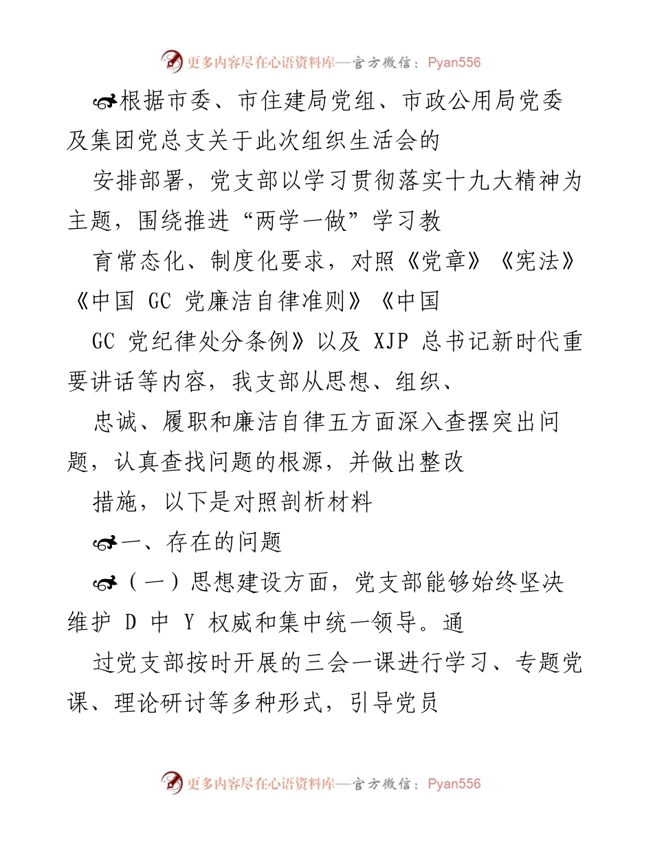 [发言] 组织生活会 - 党支部组织生活会问题剖析与整改措施.docx_第1页