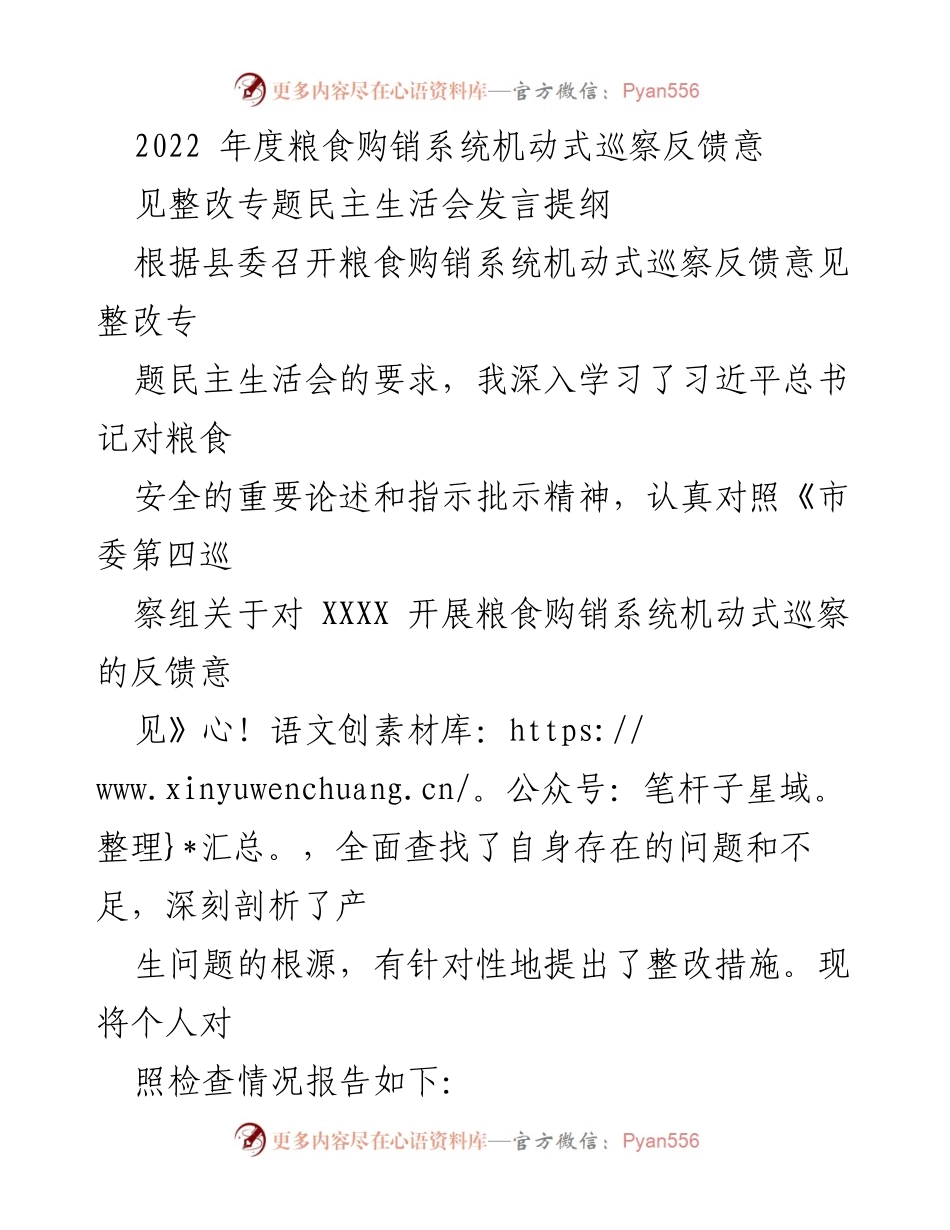 [发言] 粮食购销系统巡察整改专题民主生活会 - 个人整改措施与问题查摆发言提纲.docx_第1页