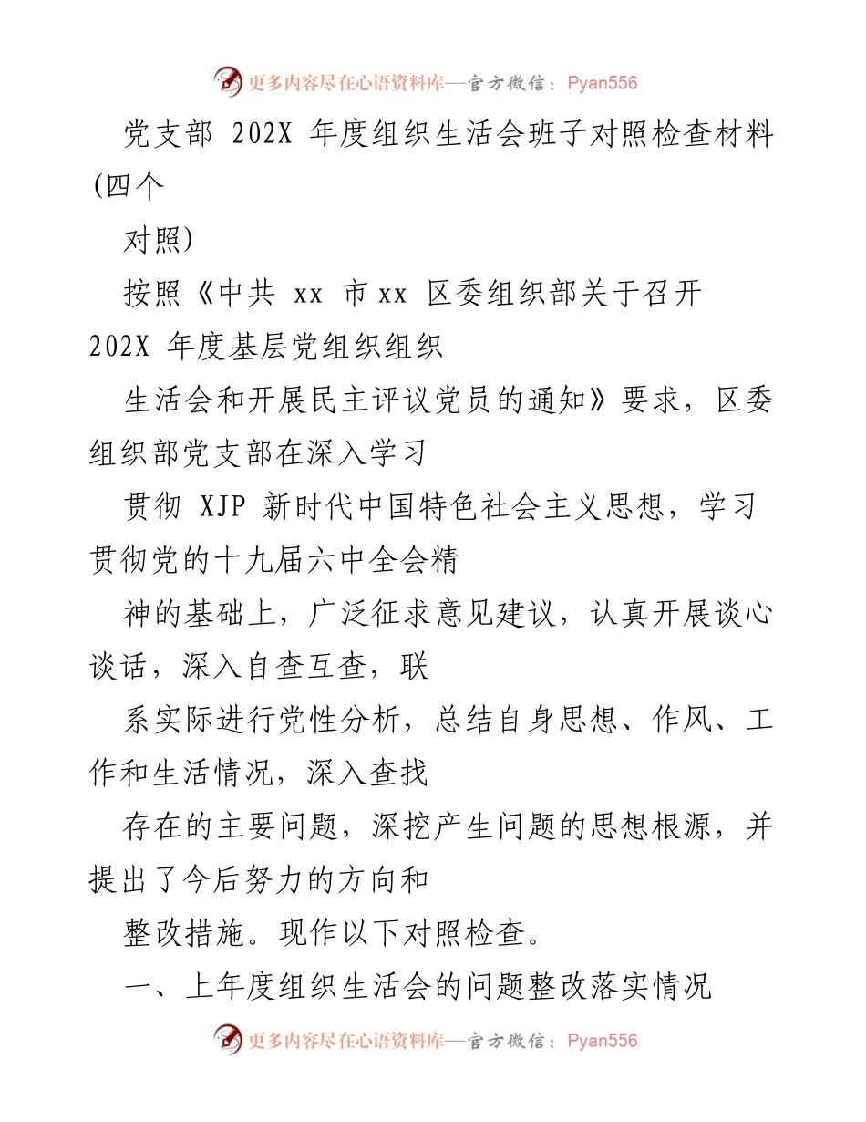 [发言] 组织生活会 - 202X年度党支部组织生活会班子对照检查总结.docx_第1页