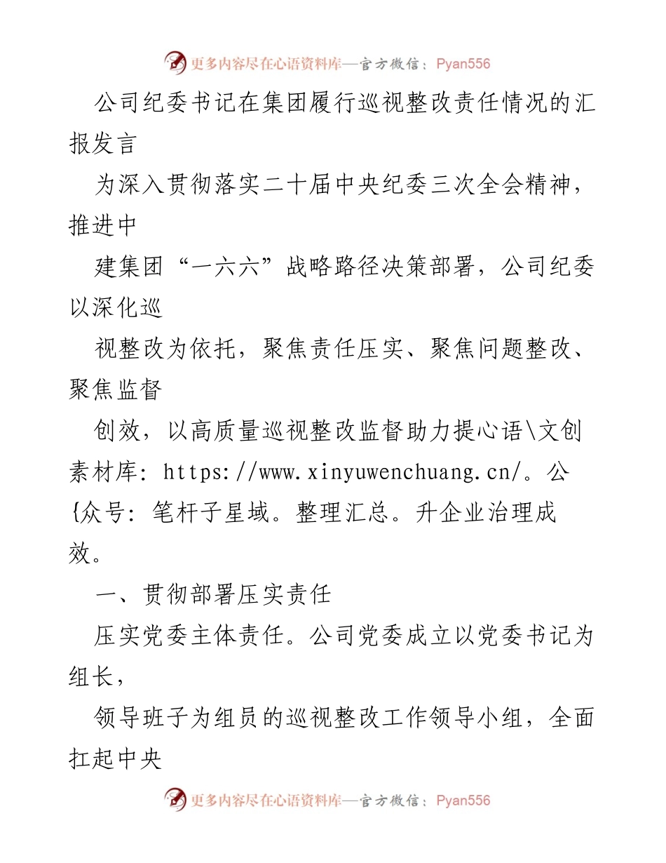 [发言] 纪委工作会议 - 公司纪委书记关于巡视整改责任履行情况的汇报发言.docx_第1页