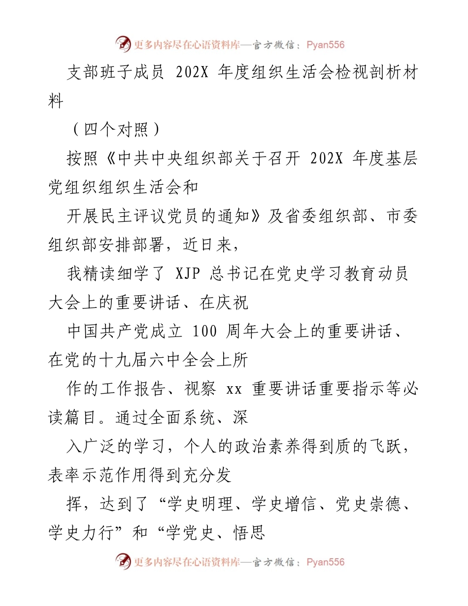 [发言] 组织生活会 - 202X年度支部班子成员组织生活会检视剖析材料.docx_第1页