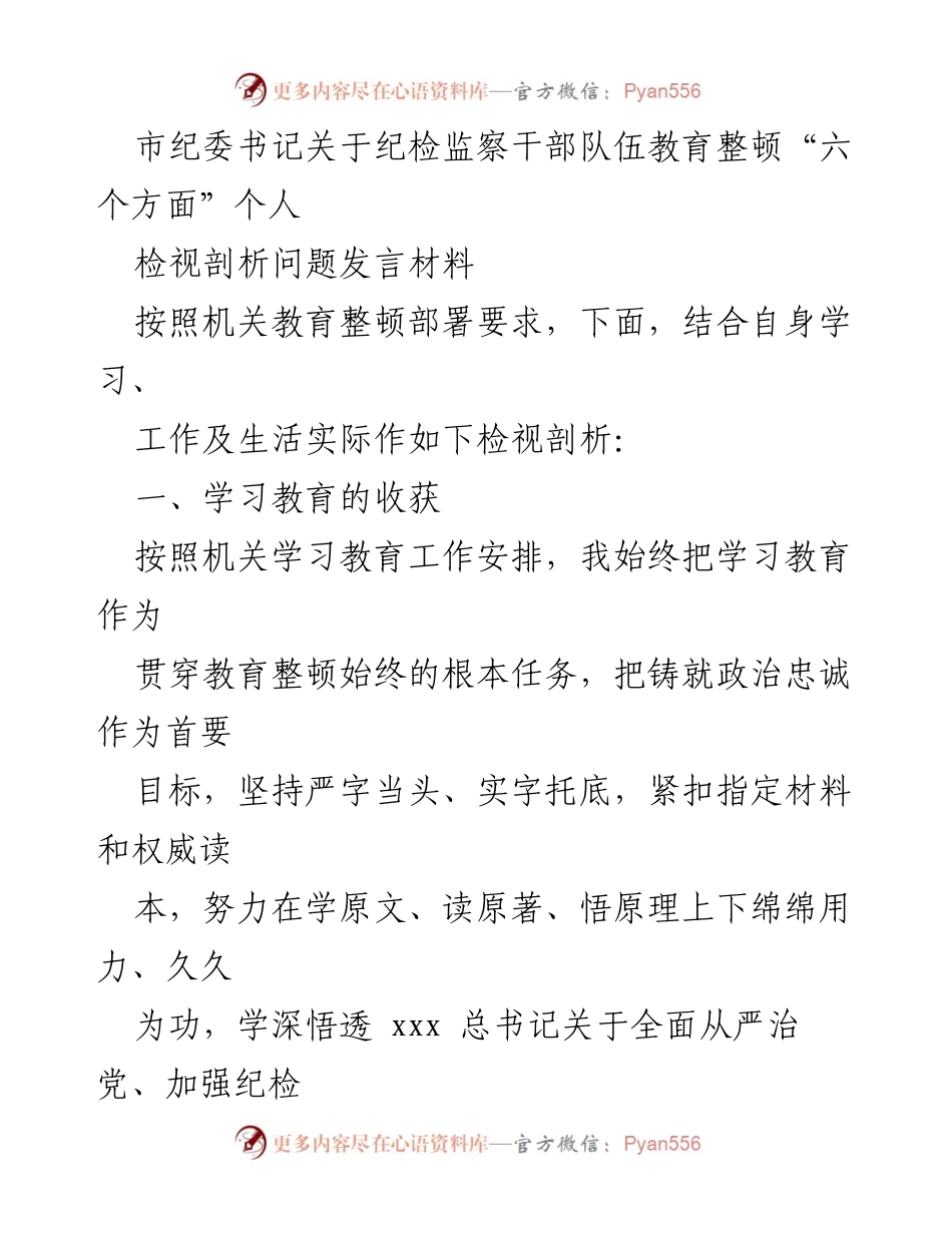 [发言] 纪检监察干部教育整顿 - 市纪委书记关于个人检视剖析及整改措施的发言材料.docx_第1页