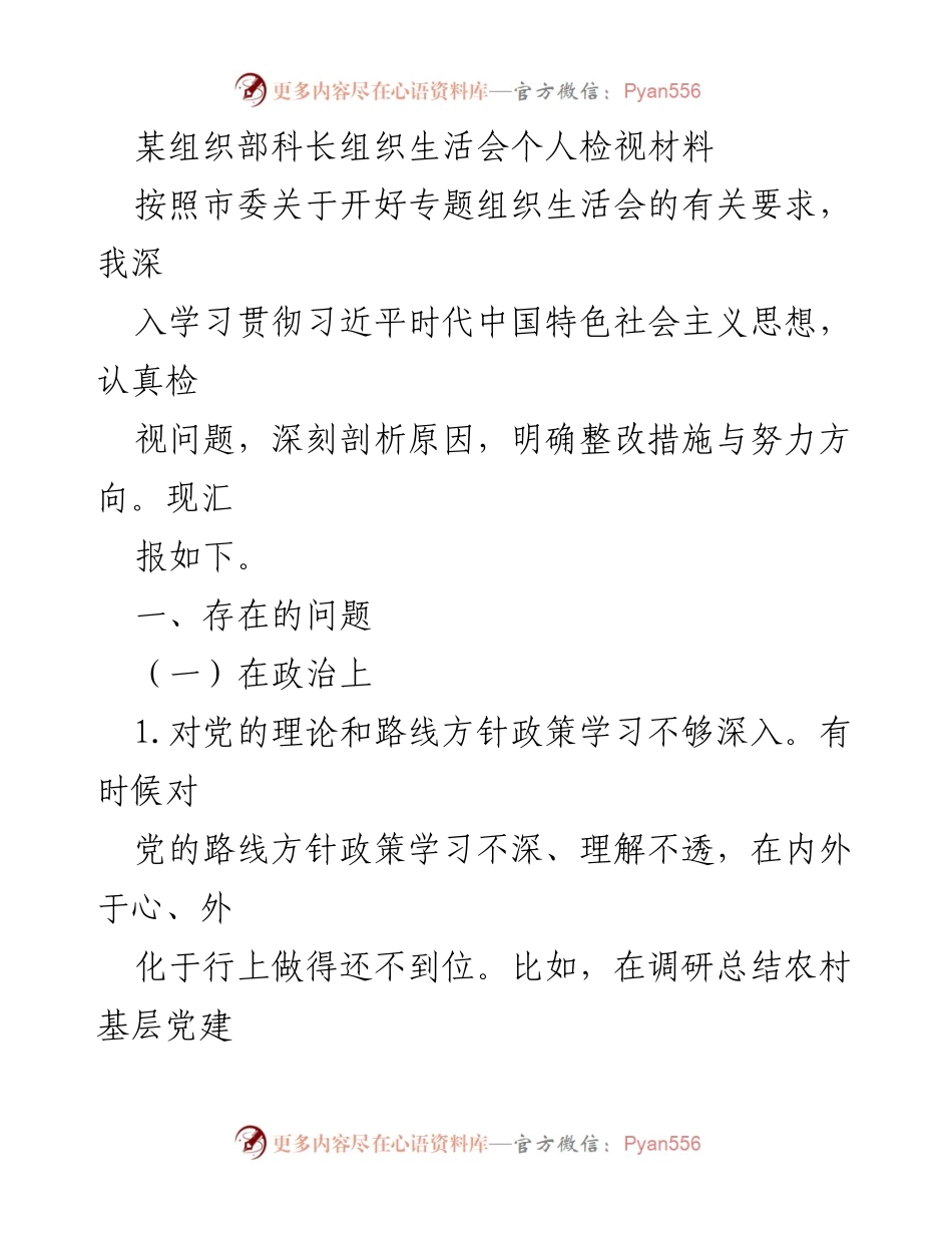 [发言] 组织生活会 - 个人检视与整改措施总结.docx_第1页