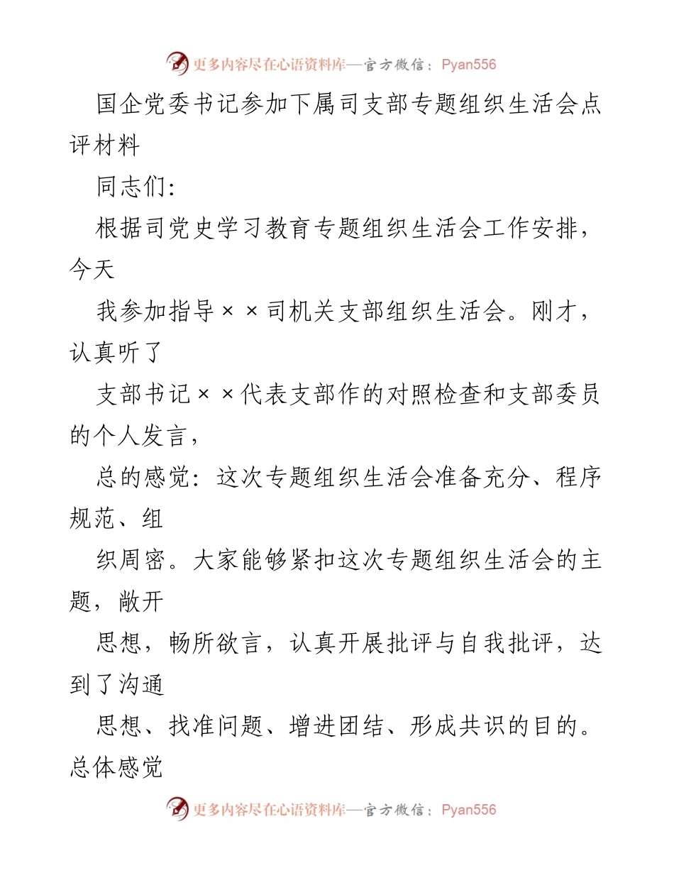 [发言] 组织生活会 - 国企党委书记对××司机关支部专题组织生活会的点评与整改建议.docx_第1页