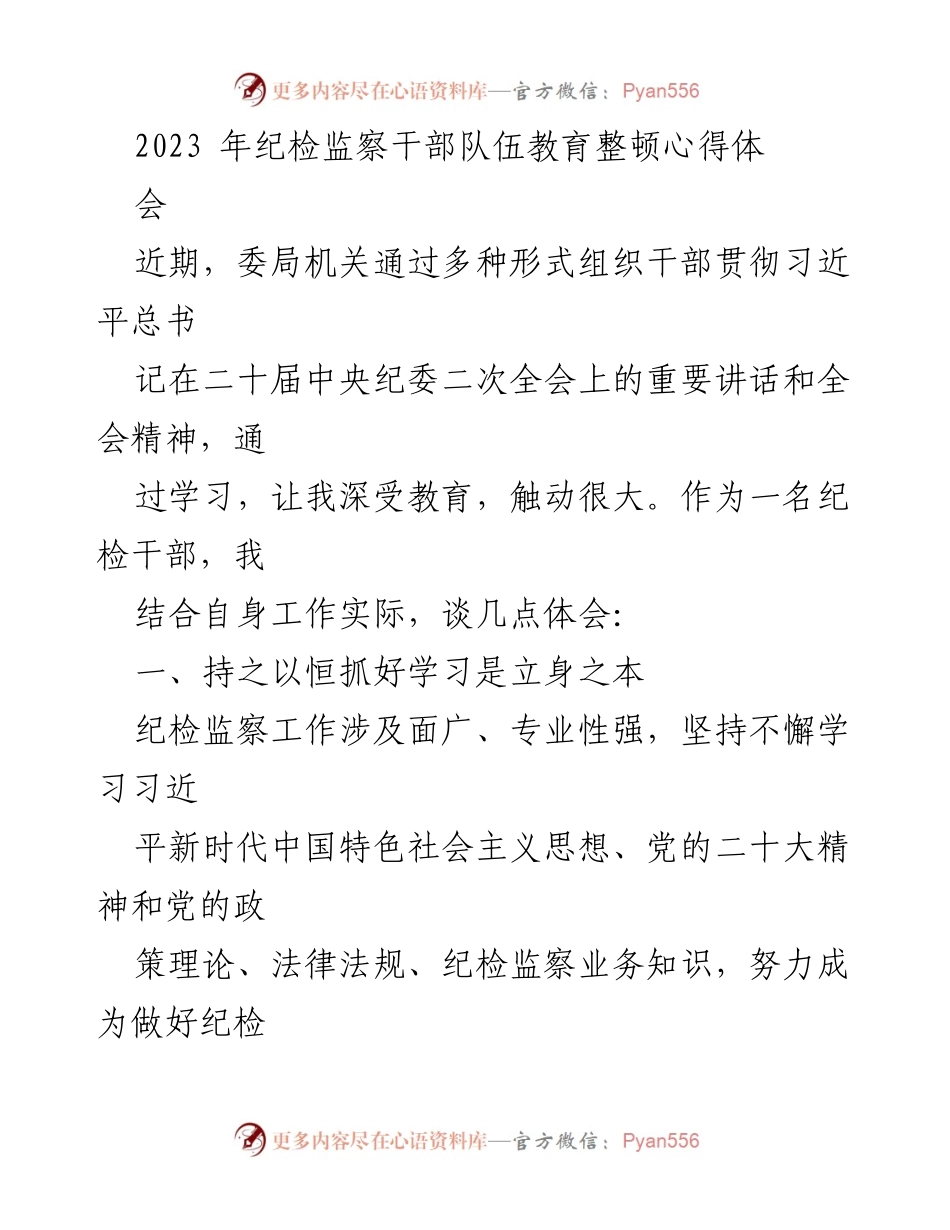 [发言] 纪检监察干部队伍教育整顿心得体会 - 深化学习与自我检视，推动纪检监察工作高质量发展.docx_第1页