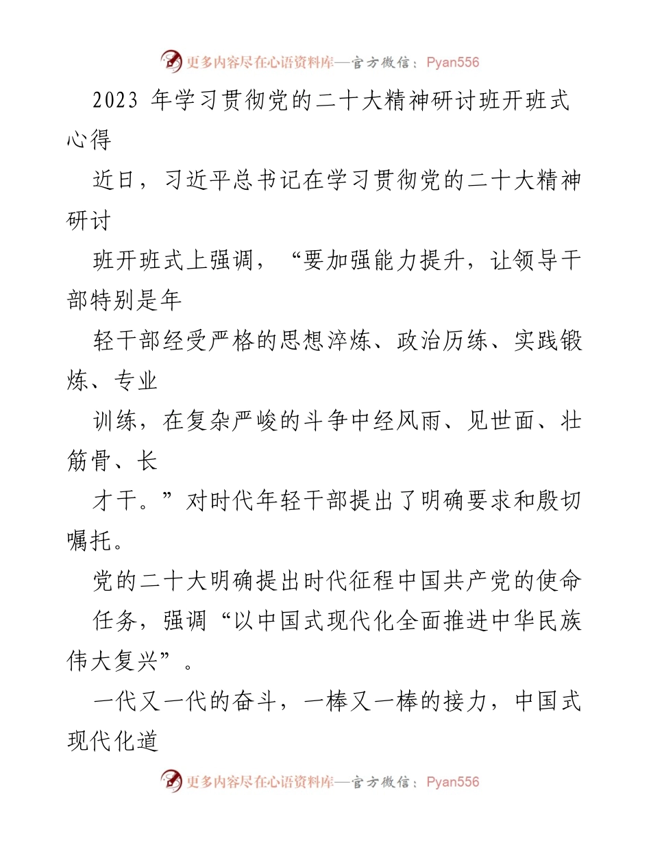[发言] 研讨班开班式 - 激扬青春，承接使命：年轻干部在中国式现代化中的责任与担当.docx_第1页