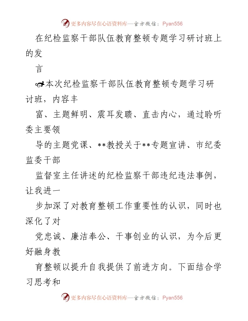 [发言] 纪检监察干部队伍教育整顿专题学习研讨班 - 深化对教育整顿重要性的认识与实践体会.docx_第1页