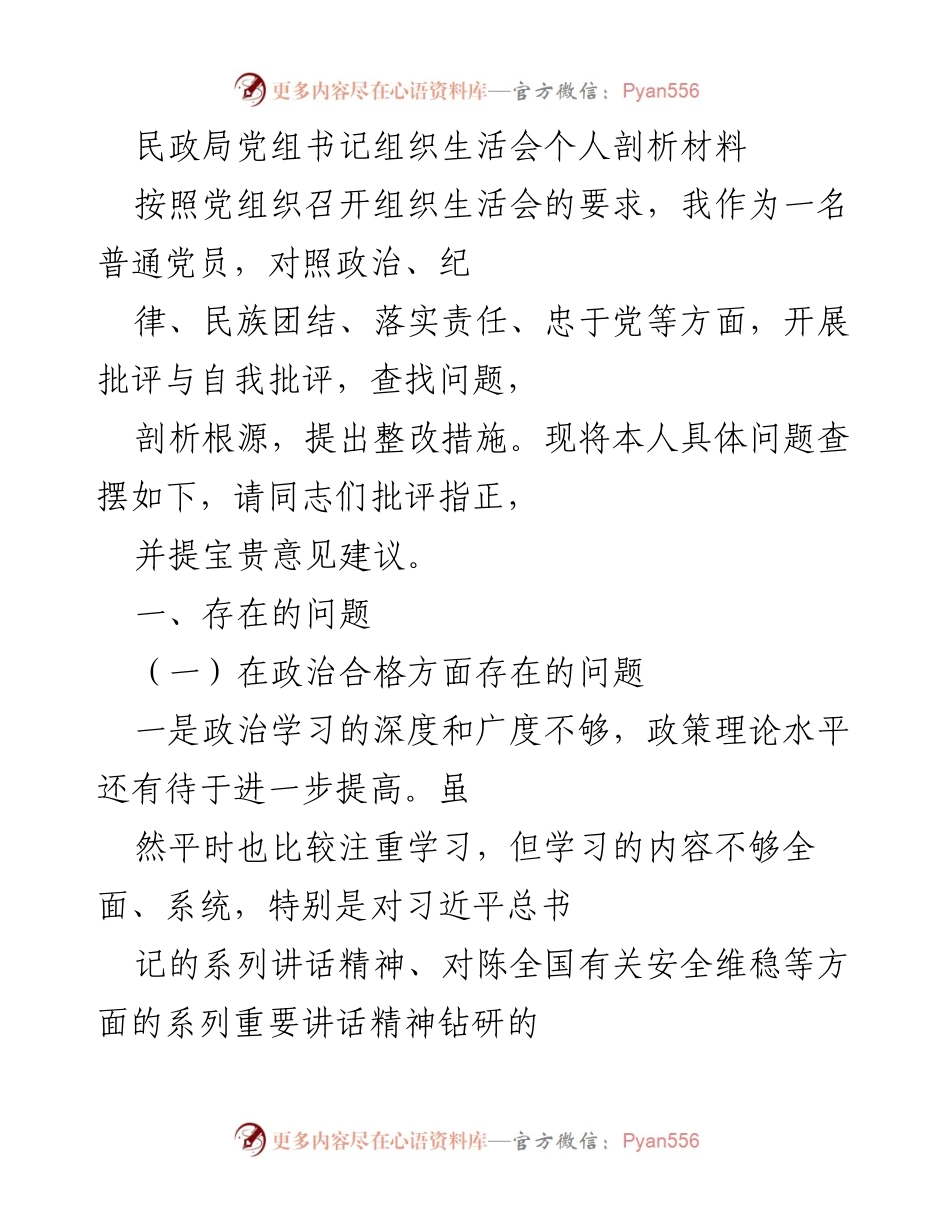 [发言] 组织生活会 - 民政局党组书记个人剖析与整改措施.docx_第1页