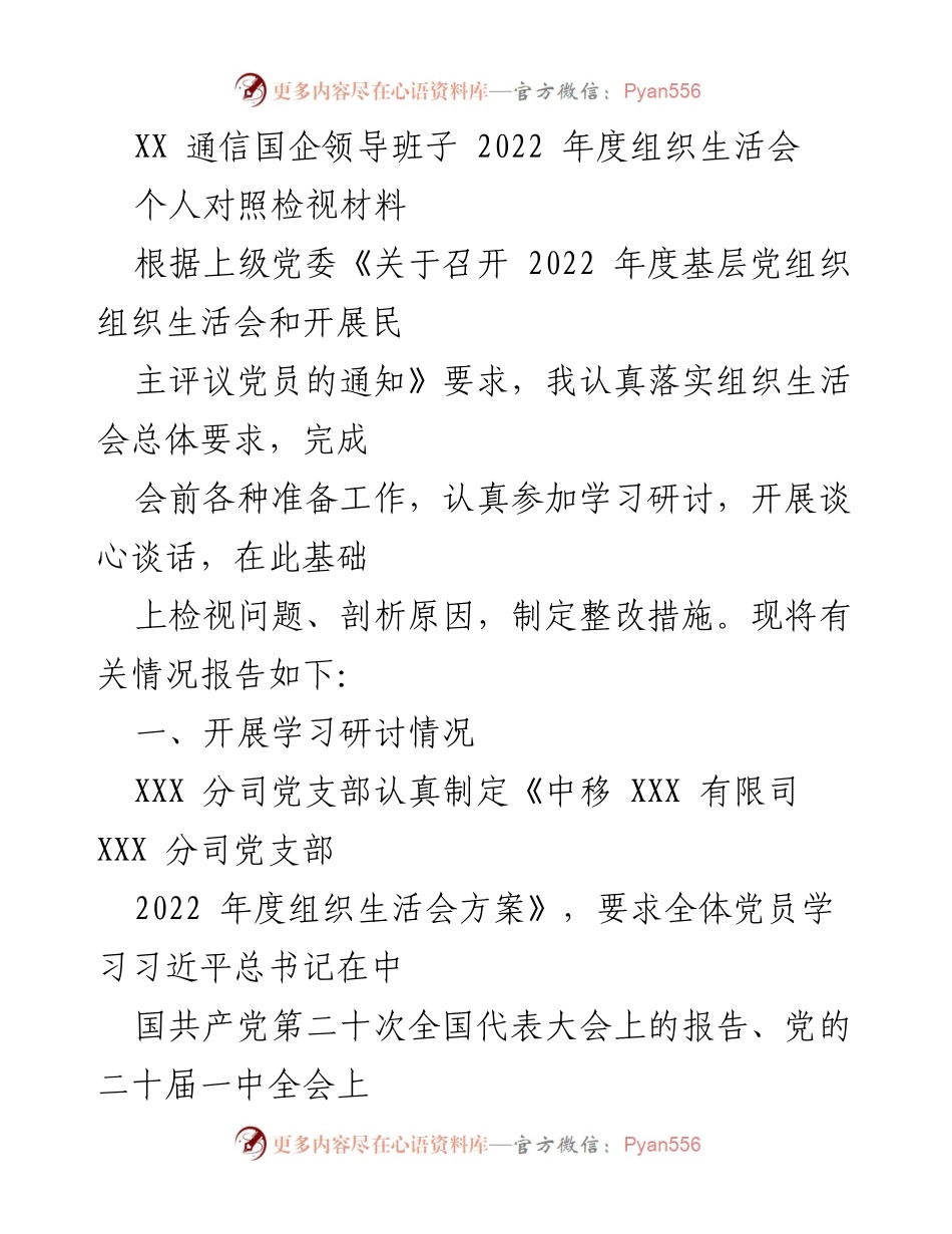 [发言] 组织生活会 - XX通信国企2022年度组织生活会个人检视报告.docx_第1页