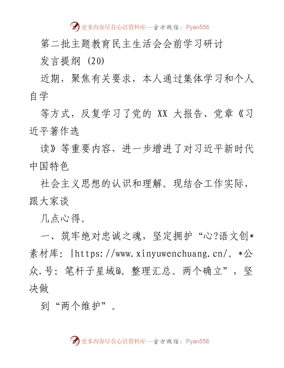 [发言] 第二批主题教育民主生活会 - 强化忠诚与服务，践行新时代使命.docx_第1页