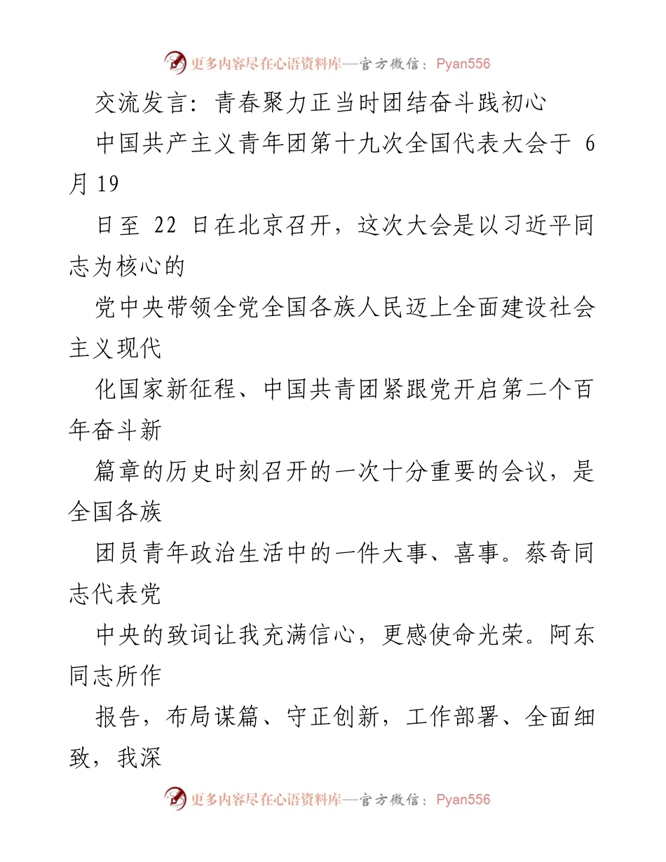 [发言] 第十九次全国代表大会 - 青春聚力，共筑新时代的团结奋斗之路.docx_第1页