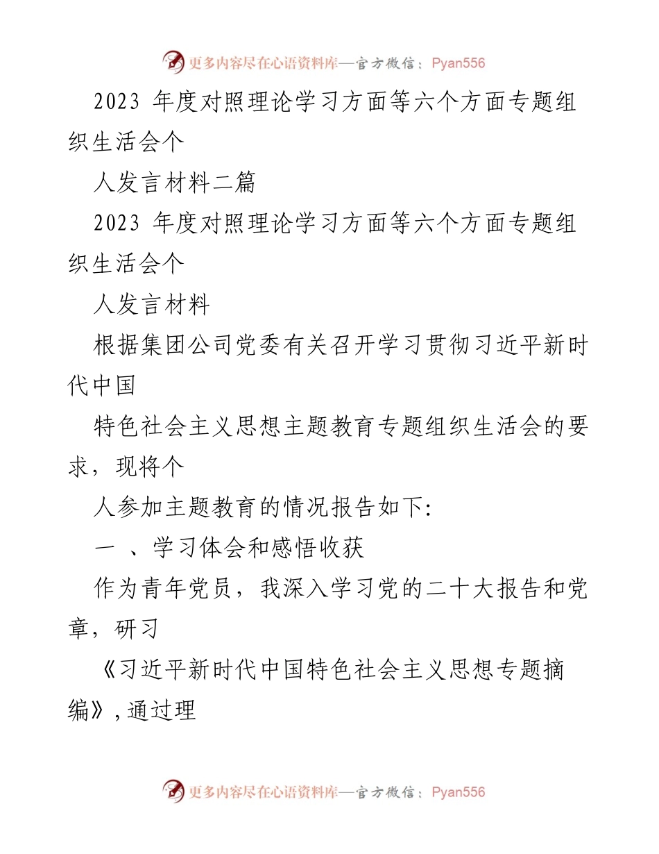 [发言] 组织生活会 - 青年党员的理论学习与成长反思.docx_第1页