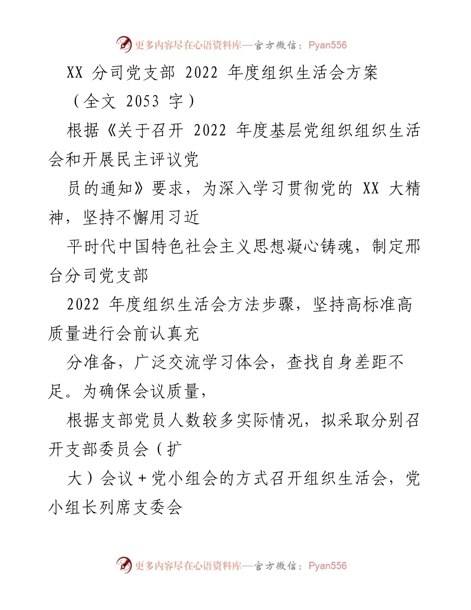 [发言] 组织生活会 - XX分司党支部2022年度组织生活会方案_1.docx_第1页