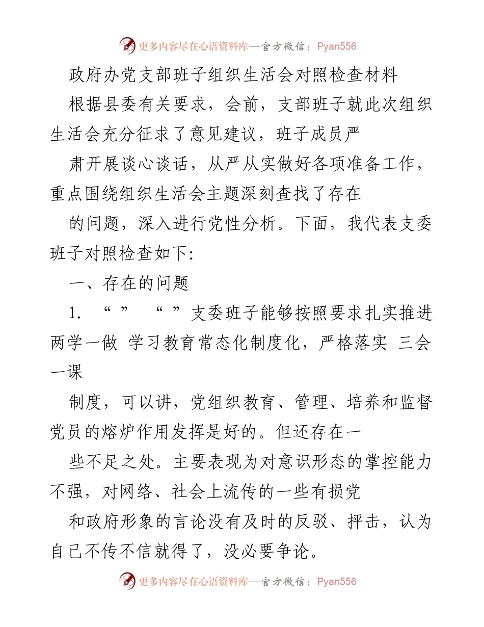 [发言] 组织生活会 - 党支部班子对照检查与问题分析报告.docx_第1页