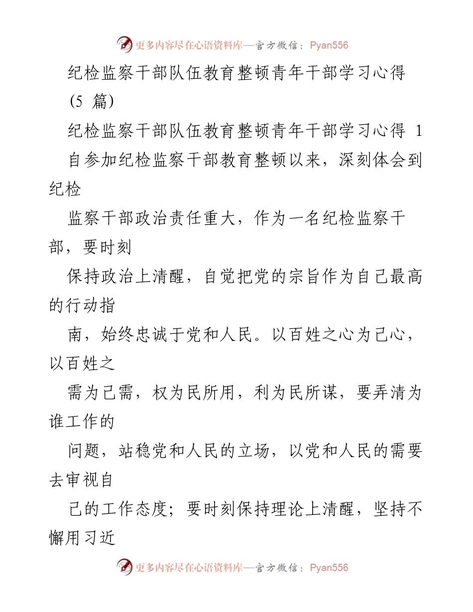[发言] 纪检监察干部教育整顿 - 青年干部学习心得分享.docx_第1页