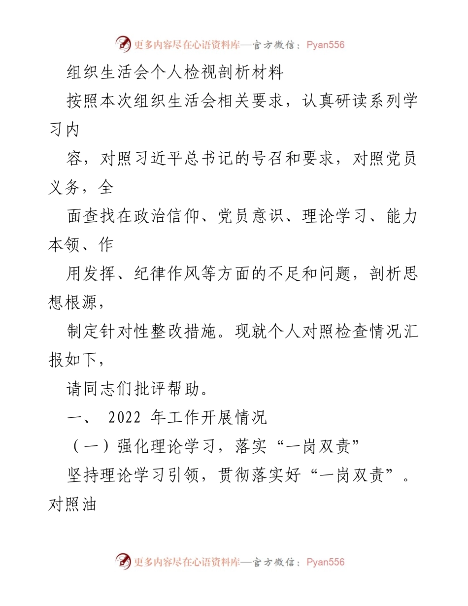 [发言] 组织生活会 - 个人检视与整改措施汇报.docx_第1页