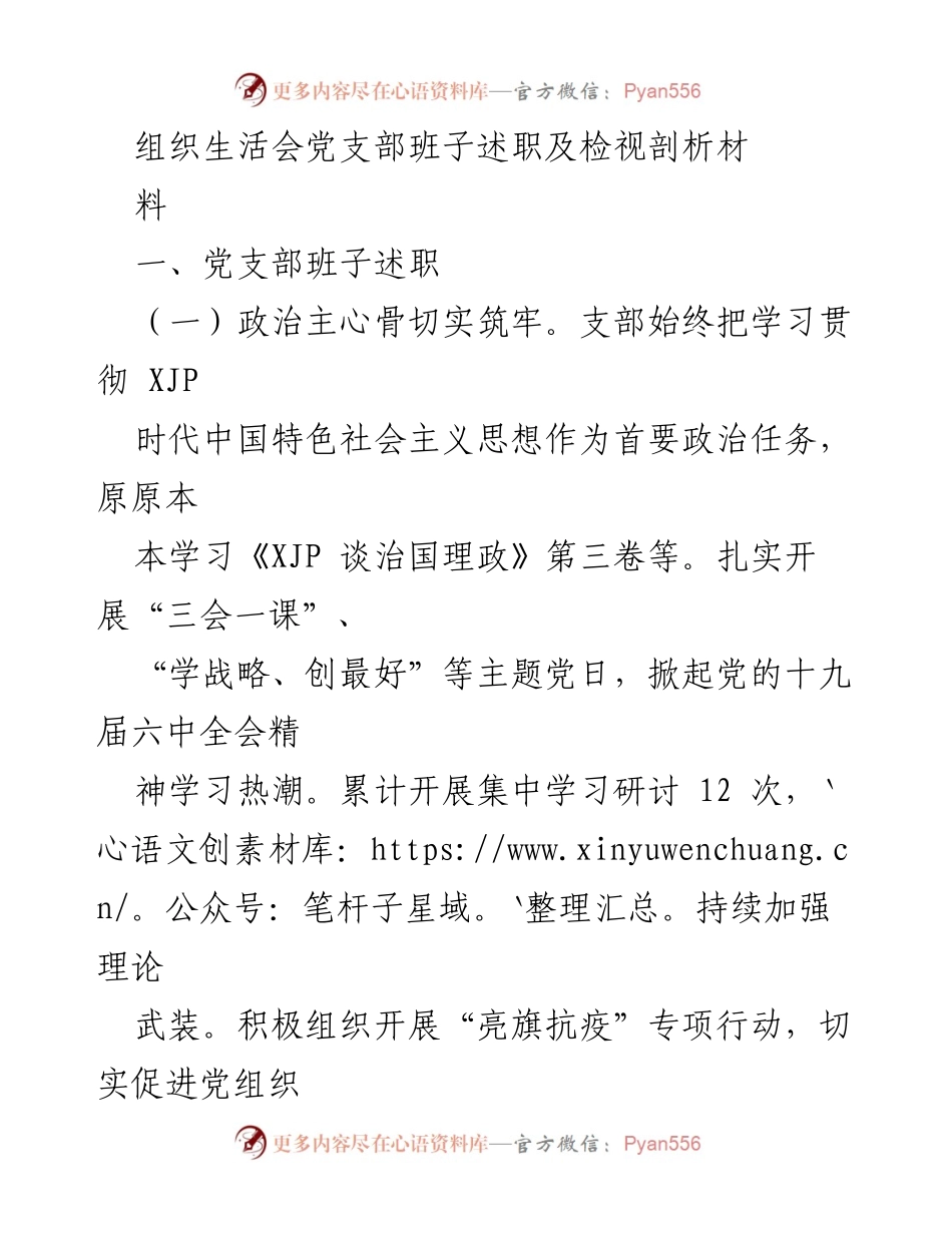 [发言] 组织生活会 - 党支部班子述职及党建工作检视分析.docx_第1页
