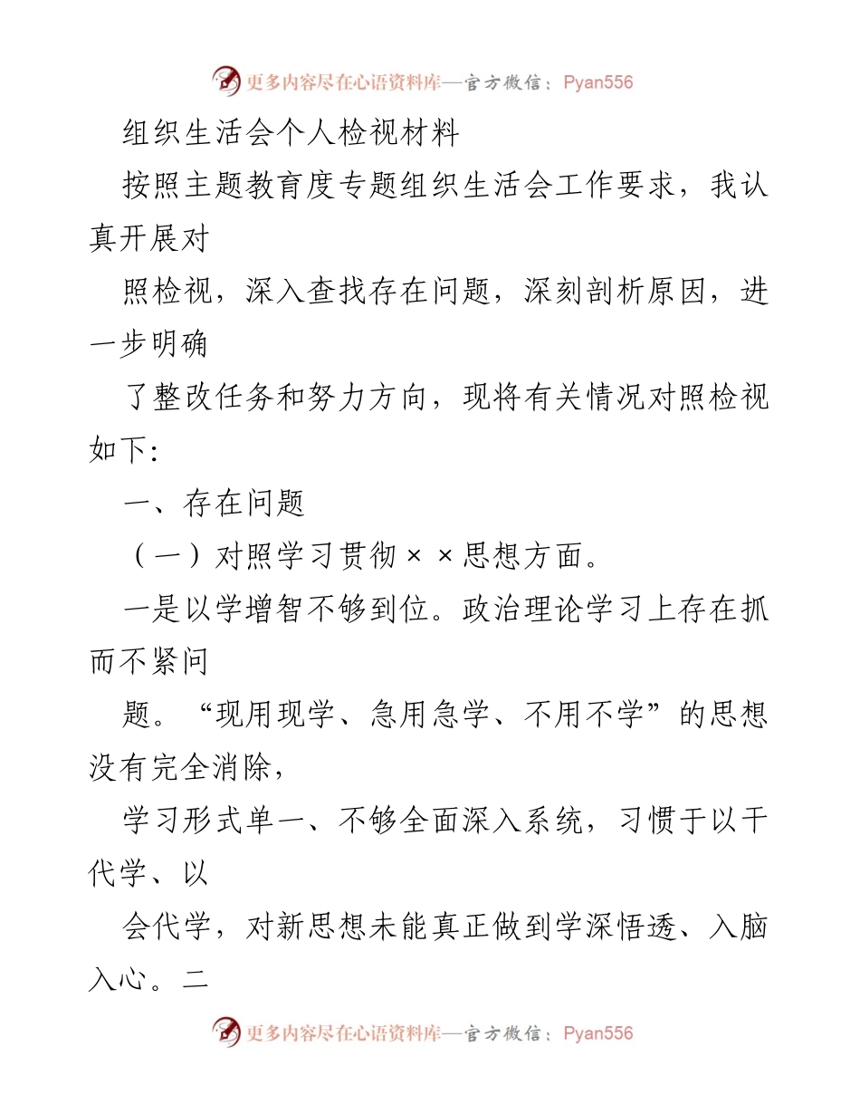 [发言] 组织生活会 - 个人检视材料总结与整改方向.docx_第1页