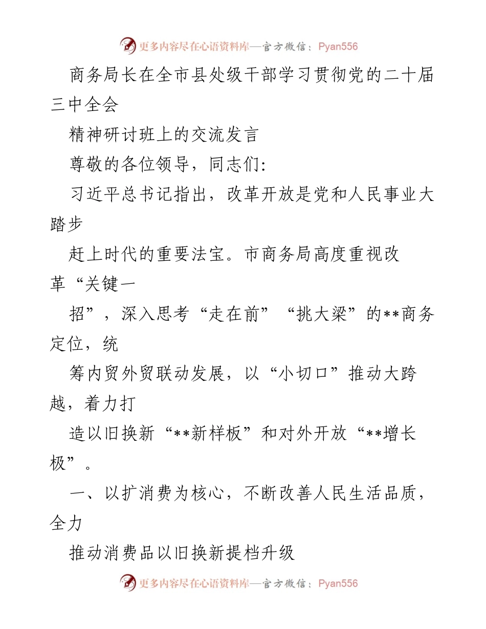 [发言] 研讨班 - 推动消费升级与绿色发展：市商务局的创新实践.docx_第1页