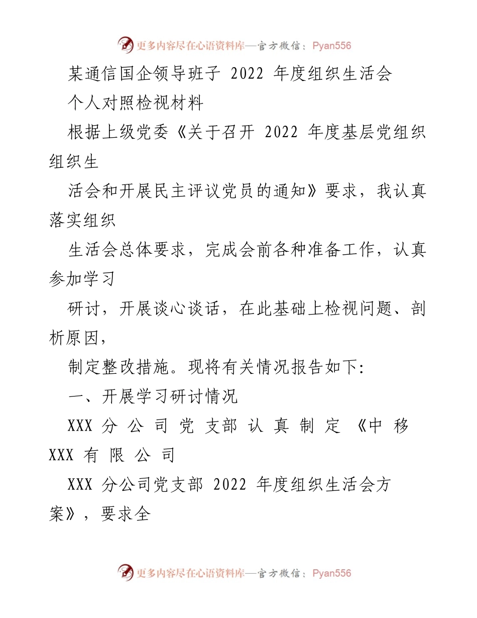 [发言] 组织生活会 - 2022年度组织生活会个人检视报告.docx_第1页