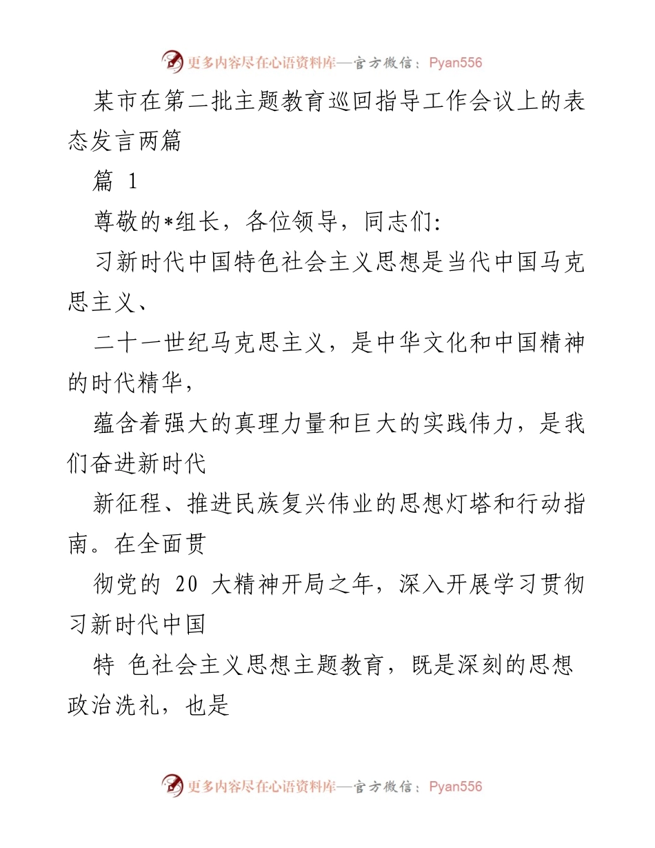 [发言] 第二批主题教育巡回指导工作会议 - 深入学习贯彻习新时代中国特色社会主义思想的表态发言.docx_第1页