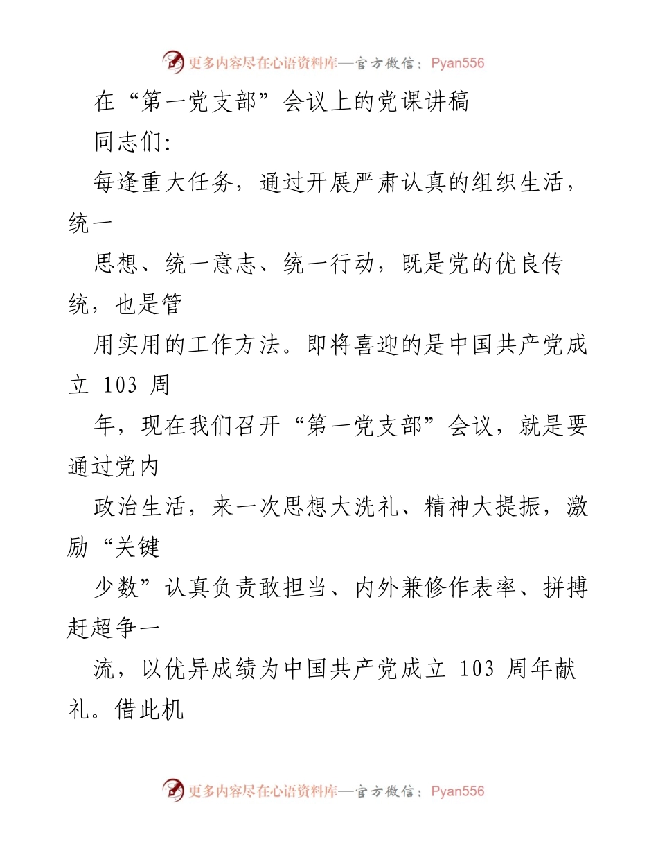 [发言] 第一党支部会议 - 以优异成绩献礼党的103周年：担当作为与高效执行.docx_第1页