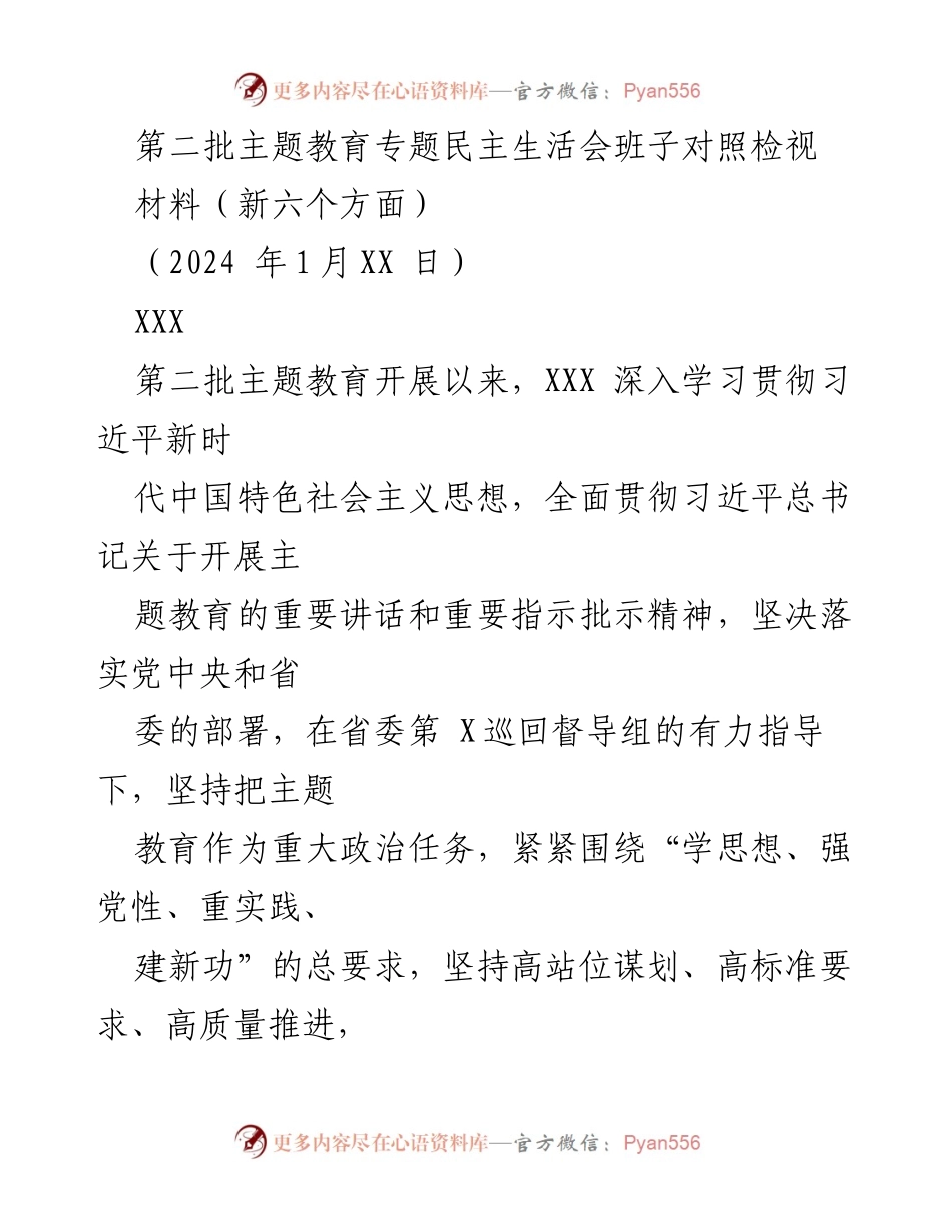 [发言] 第二批主题教育专题民主生活会 - 班子对照检视与问题分析.docx_第1页