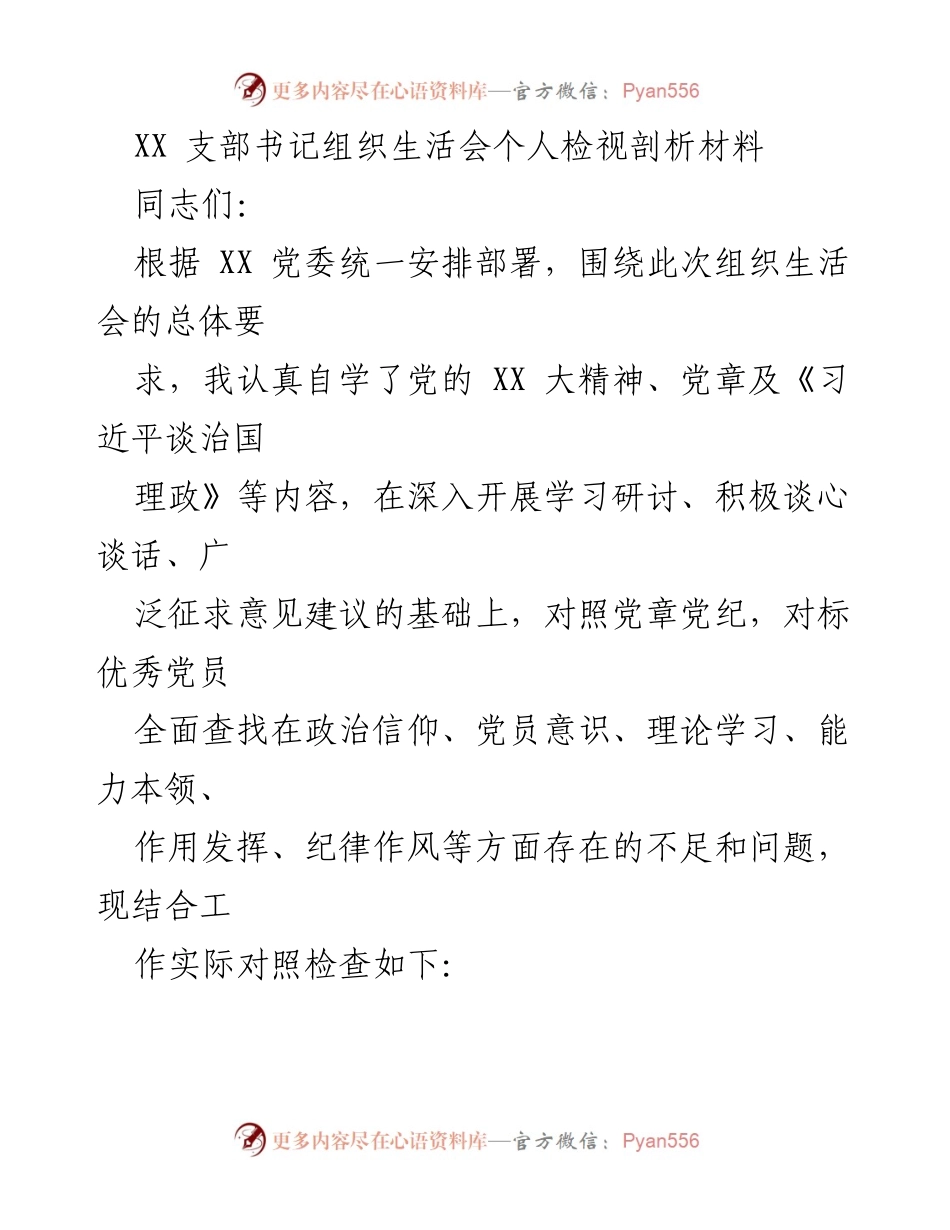 [发言] 组织生活会 - XX支部书记个人检视与反思材料.docx_第1页