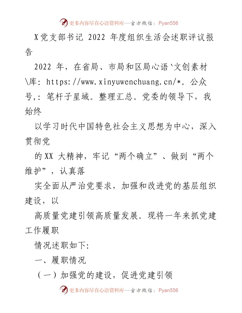 [发言] 组织生活会 - 2022年度党支部书记述职评议报告.docx_第1页