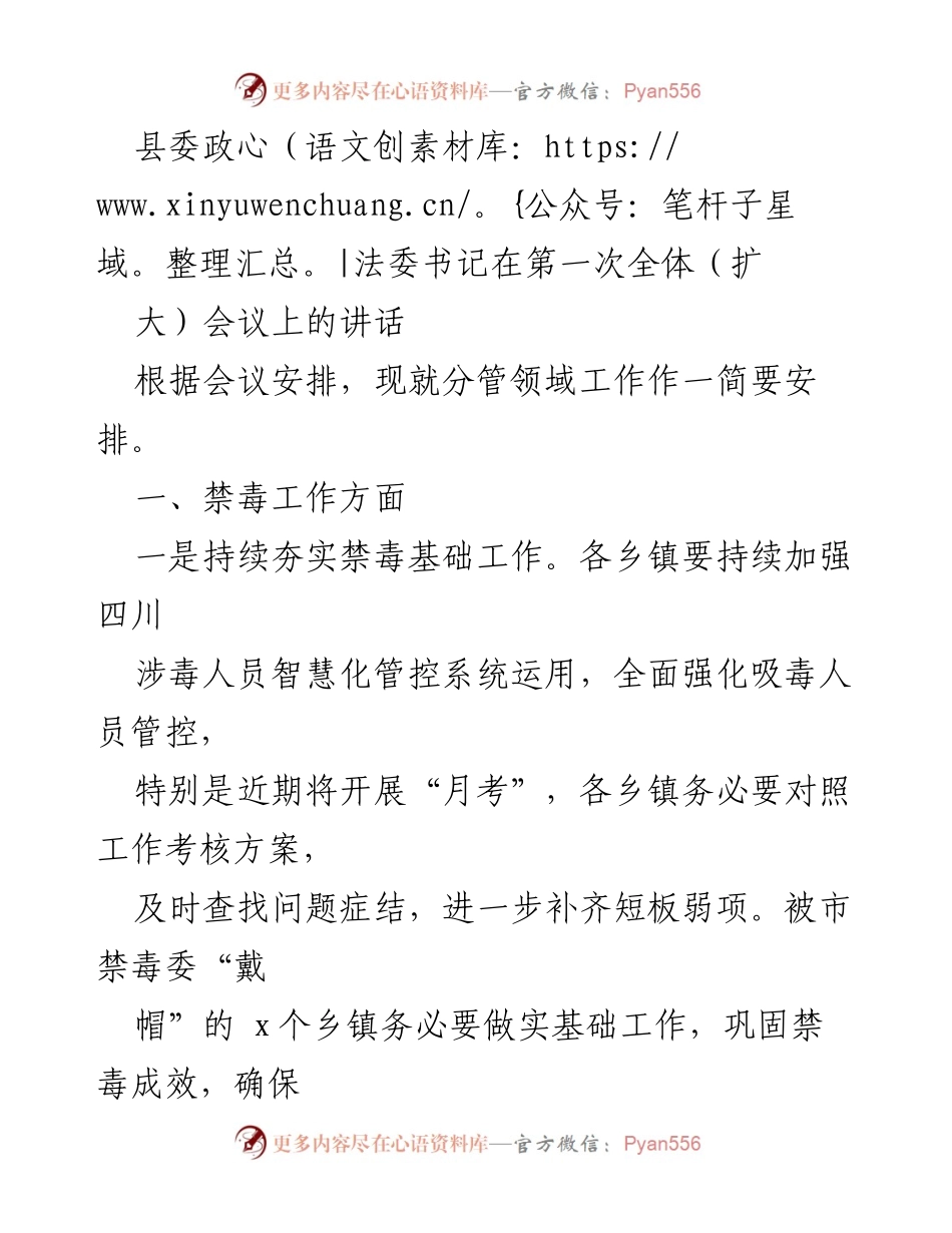 [发言] 第一次全体（扩大）会议 - 县委政法委书记讲话：强化禁毒、反电诈及信访稳定工作部署.docx_第1页