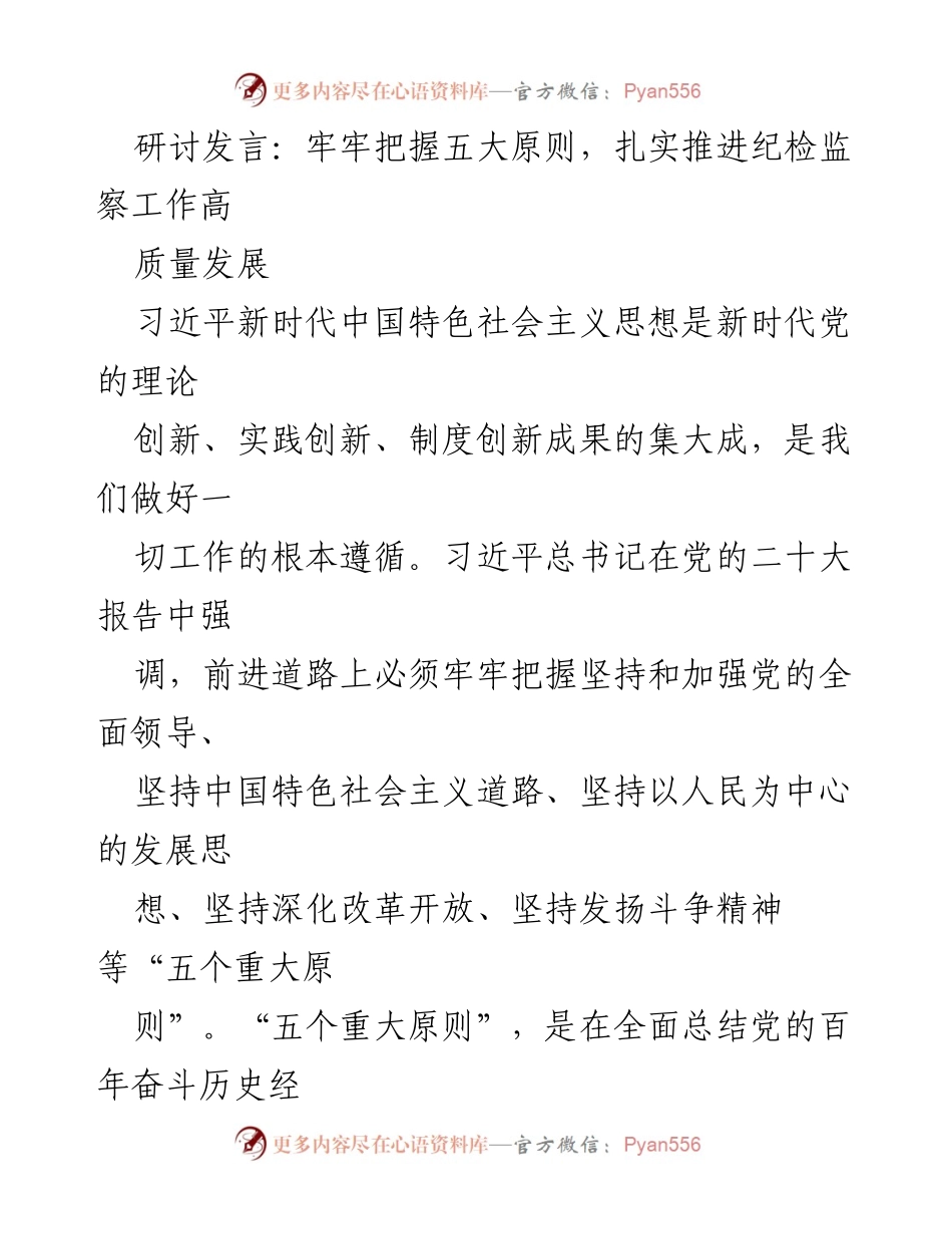 [发言] 纪检监察工作研讨会 - 牢牢把握五大原则，推动纪检监察高质量发展_1.docx_第1页