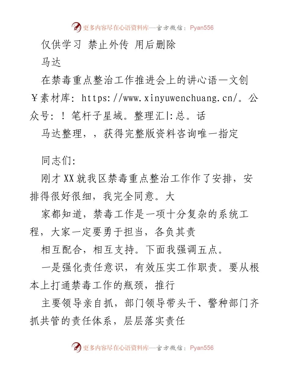 [发言] 禁毒重点整治工作推进会 - 强化责任与协作，共同推进禁毒工作.docx_第1页