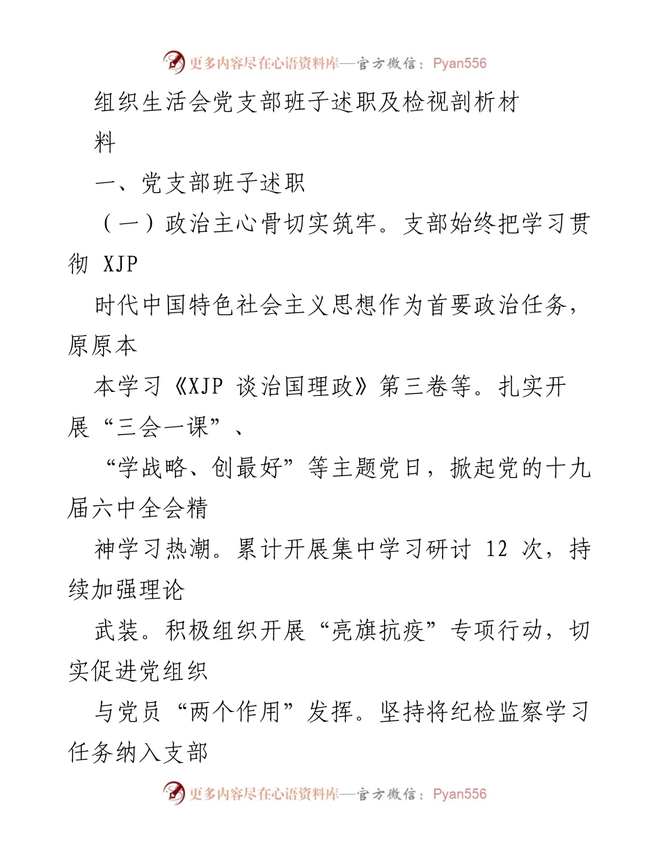 [发言] 组织生活会 - 党支部班子述职与检视分析报告.docx_第1页