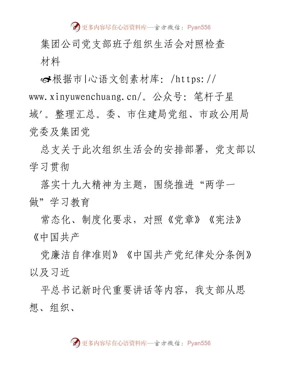 [发言] 组织生活会 - 党支部班子对照检查与整改措施分析.docx_第1页