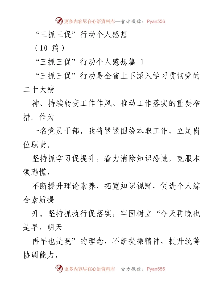 [发言] 纪检监察系统动员会 - “三抓三促”行动的实施与个人感悟.docx_第1页