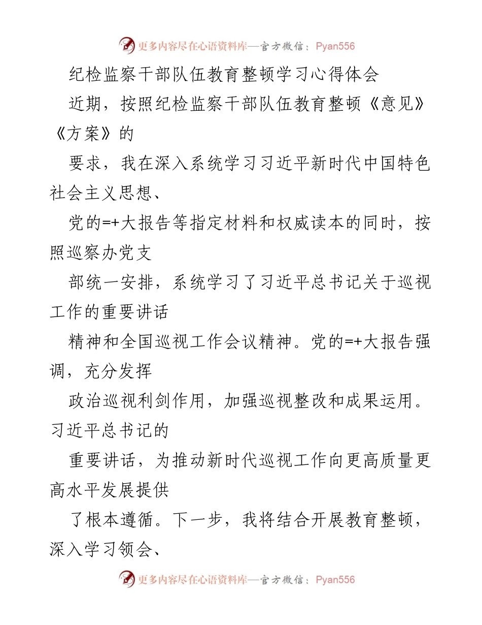 [发言] 纪检监察干部队伍教育整顿 - 深化政治巡察，铸牢政治忠诚.docx_第1页