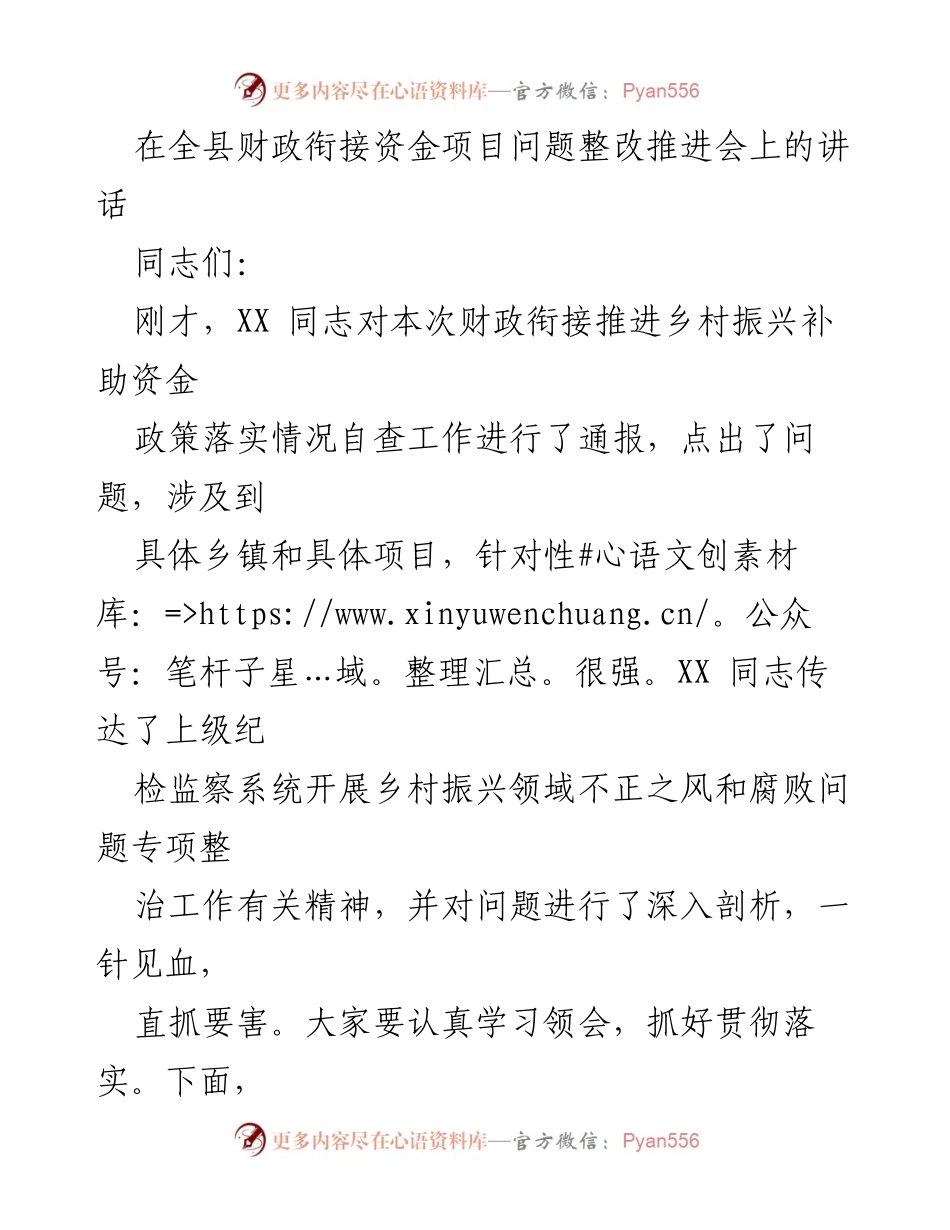 [发言] 财政衔接资金项目问题整改推进会 - 深入推进财政衔接资金项目问题整改的重要性与措施.docx_第1页